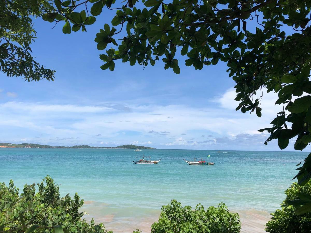 Hotel Pitaya Weligama Zewnętrze zdjęcie